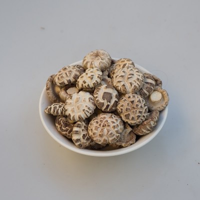 厂家直销春载一级白花菇干货冬菇干货批发图5