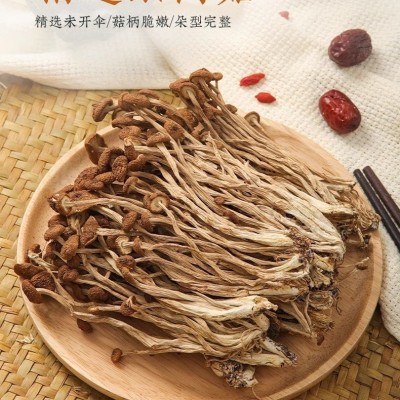 茶树菇干货菌菇新货茶树菌新鲜非野生脆嫩无硫煲汤食材厂家批发图3