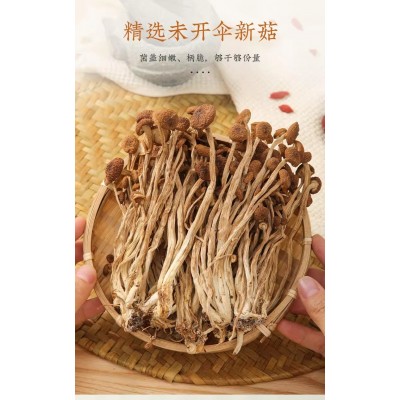 茶树菇干货菌菇新货茶树菌新鲜非野生脆嫩无硫煲汤食材厂家批发图5