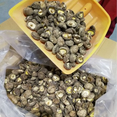 随州香菇干货基地 随州冬菇菌菇 小香菇干货特级出口图3