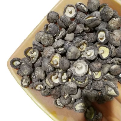 随州香菇干货基地 随州冬菇菌菇 小香菇干货特级出口图5