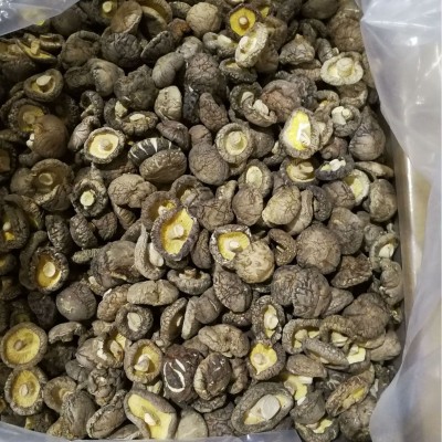 随州香菇干货基地 随州冬菇菌菇 小香菇干货特级出口图4