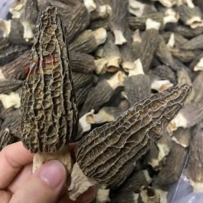 羊肚菌5-8 羊肚菌批发 羊肚菌剪柄羊肚菌礼盒干货 羊肚菌送礼代发图2