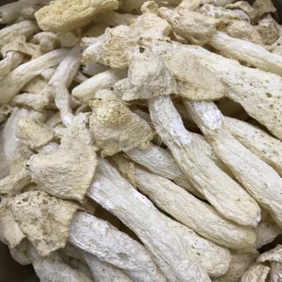 竹荪菌菇干货 竹荪干货特级 竹荪干货散装 一件代发 加工图2