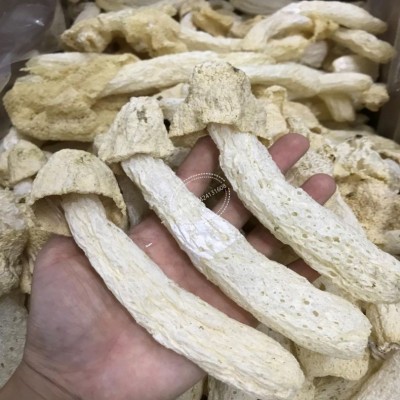竹荪菌菇干货 竹荪干货特级 竹荪干货散装 一件代发 加工图3