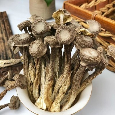 鹿茸菇干货厂价直销10斤一箱 鹿茸菇干货散装 鹿茸菇干货10斤一箱图3