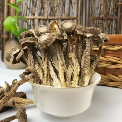 鹿茸菇干货厂价直销10斤一箱 鹿茸菇干货散装 鹿茸菇干货10斤一箱图2