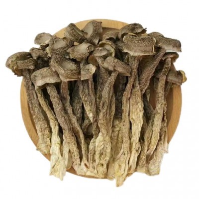 鹿茸菇干货厂价直销10斤一箱 鹿茸菇干货散装 鹿茸菇干货10斤一箱图5