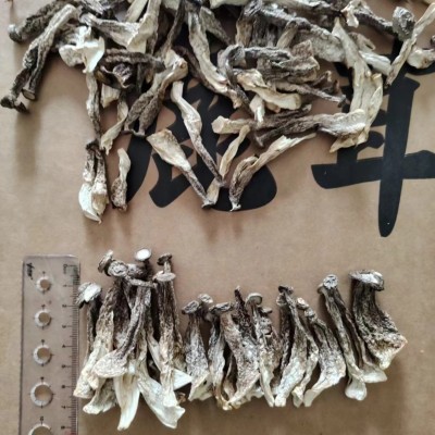 食用菌干货农产品整箱批发鹿茸菌中粗小条鹿茸菇脆脆菇一件代发图4