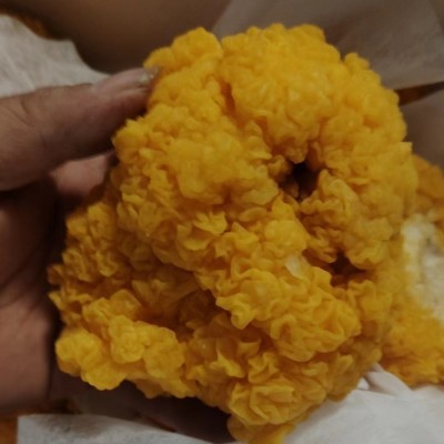 古田特产黄木耳椴木金耳 鲜金耳500克餐饮采购FD冻干金耳菌批发图2
