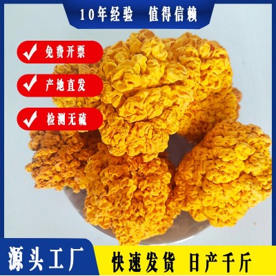 古田特产黄木耳椴木金耳 鲜金耳500克餐饮采购FD冻干金耳菌批发图3