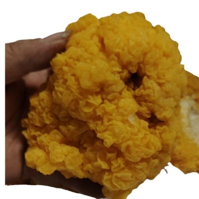 古田特产黄木耳椴木金耳 鲜金耳500克餐饮采购FD冻干金耳菌批发图5