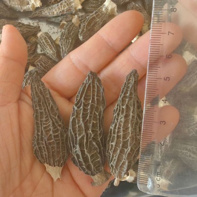 羊肚菌批发整箱干货菌菇农产品土特产批发零售春节礼盒送礼图4