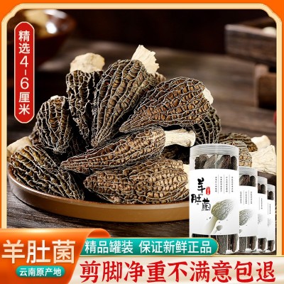 羊肚菌干货云南羊肚菌原产地整箱500g头茬羊肚菌干货大量批发代发