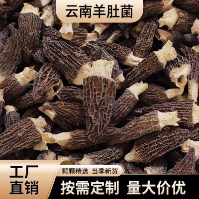羊肚菌干货云南羊肚菌原产地整箱500g头茬羊肚菌干货大量批发代发图3