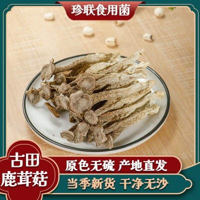 古田特产 鹿茸菇干货煲汤炒菜食用菌食材散装优质脆脆菇 大量批发图3