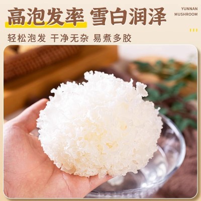 椴木小银耳新货非特级福建糯耳羹出胶雪耳古田干货白木耳无硫丑耳图2