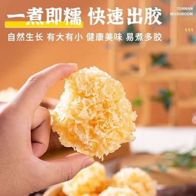 椴木小银耳新货非特级福建糯耳羹出胶雪耳古田干货白木耳无硫丑耳图4