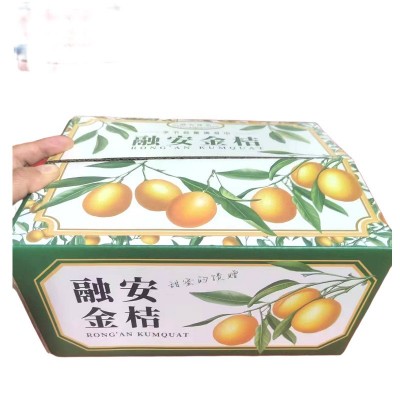 广西融安金桔脆皮金桔新鲜水果滑皮脆蜜金桔不麻不涩产地直发包邮图5