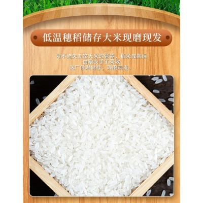 东北大米批发 现磨现发黑龙江特产新米 真空包装1kg2斤五常大米图5
