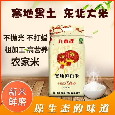 东北大米10斤一袋寒地鲜白米可一件代发黑龙江长粒香色选 白米大米