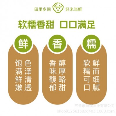 【田里乡间】2024年新米上市 东北珍珠大米新鲜现磨产地直发2.5kg图3