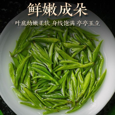 2024龙井茶叶绿茶散装新茶源头产地现货批发量大优惠清香怡人图3