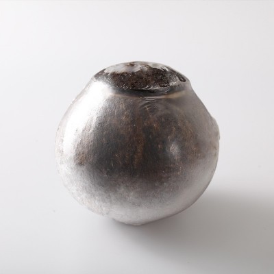 厂家直供海南椰皇水果煲汤底料抛光椰子冻椰盅椰子鸡老椰子批发图2