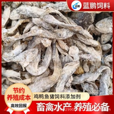 现货供应饲料鱼干 鸡鸭虾蟹水产养殖饲料鱼干 盐干杂鱼饲料原料图5