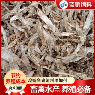 饲料级纯鱼干 畜禽鸡鸭貉虾蟹水产养殖饲料原料鱼干 深海油光杂鱼图3