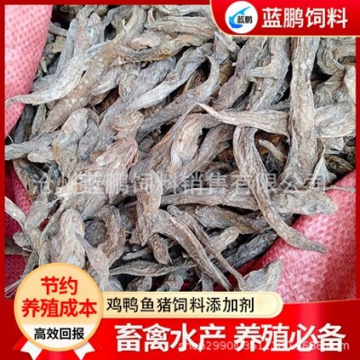 饲料级纯鱼干 畜禽鸡鸭貉虾蟹水产养殖饲料原料鱼干 深海油光杂鱼图2