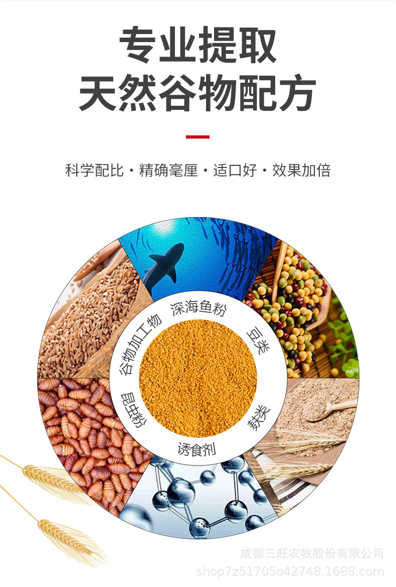 黄色风暴改_05.jpg