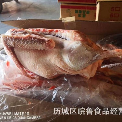 山东净膛老鹅 毛干净 新鲜 大帮老鹅一锅熟 价格不高图3