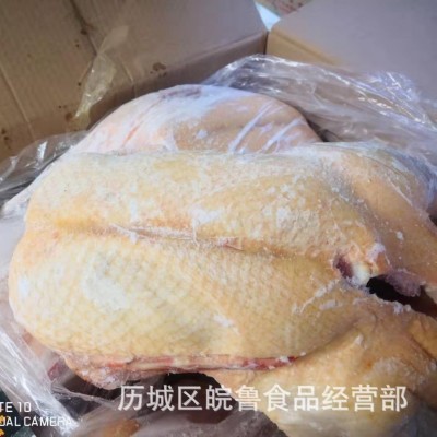 白条鸭 山东速冻白条老鸭 白条老蛋鸭 老种鸭 山东老鸭 冷冻白条图5