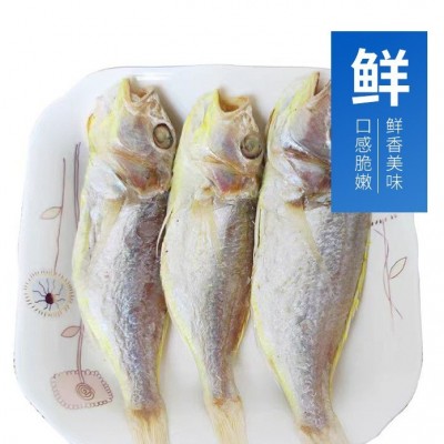 渔民自晒大量阳江特产一夜埕红三鱼干微咸鱼干干货鲜甜带头去内脏图3