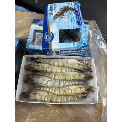 黑虎虾-水冻500g*10盒 净重4.3kg/件 多规格原装进口整件发货图5