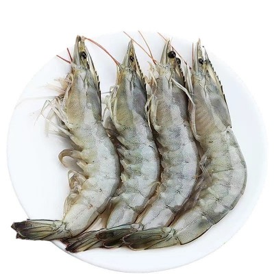 虾-白虾-盐冻大虾冷冻海捕白虾海虾海洋大虾批发商用零售顺丰发货图4