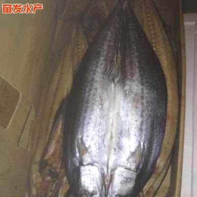 批发供应 鲅鱼干 咸鱼干货 即食海产品供应 水产海鲜批发图3