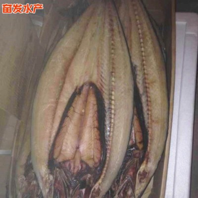 批发供应 鲅鱼干 咸鱼干货 即食海产品供应 水产海鲜批发图2