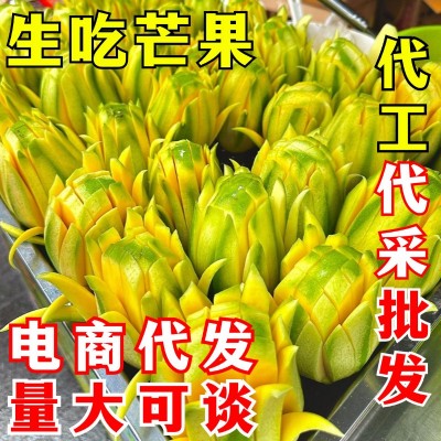 生吃芒果 一件代发 象牙芒酸野芒果青皮腌芒果脆甜芒果花新鲜水果
