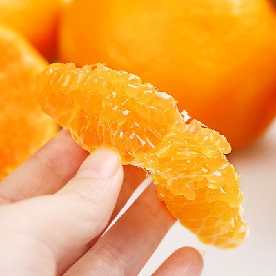 春见耙耙柑 一件代发 四川粑粑柑新鲜水果当季丑八怪橘子整箱包邮图4