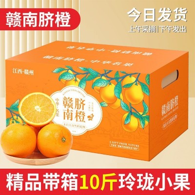 【产地直发】正宗赣南脐橙自然成熟口感美味香甜现摘现发农家自产图5