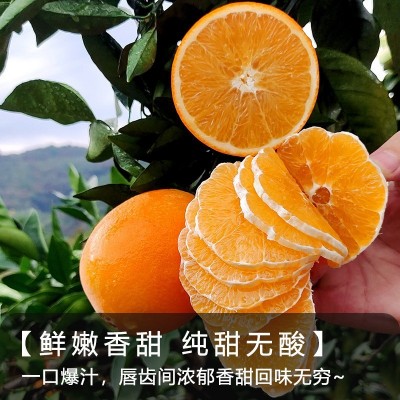 【产地直发】正宗赣南脐橙自然成熟口感美味香甜现摘现发农家自产图4