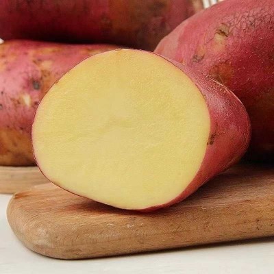 云南新鲜红皮黄心大土豆农家自种老品种大洋芋高原现挖马铃薯蔬菜图3
