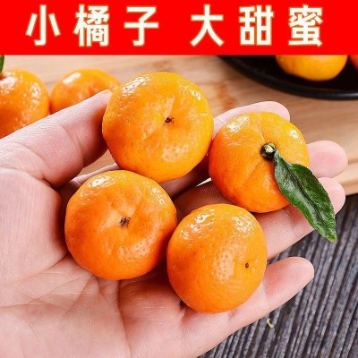 雪衫蜜桔小桔子比沙糖桔薄皮当季新鲜水果砂糖橘子批发非涌泉图4
