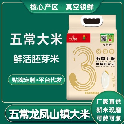 五常大米胚芽米2.5kg5斤东北新米长粒米香米大米5kg一袋厂家批发图4