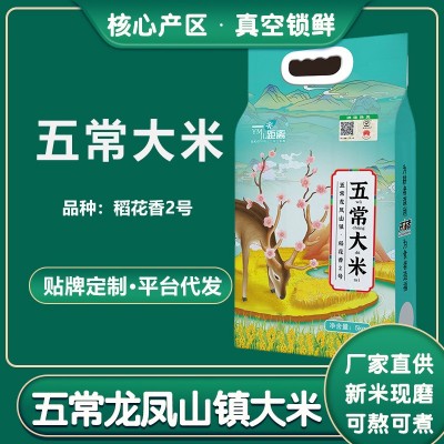 五常大米胚芽米2.5kg5斤东北新米长粒米香米大米5kg一袋厂家批发图5