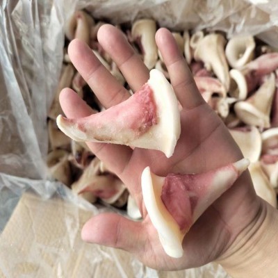 冷冻鱿鱼尾尖9斤鱿鱼耳鱿鱼尾片 鱿鱼翅火锅烧烤食材量大询价批发图3