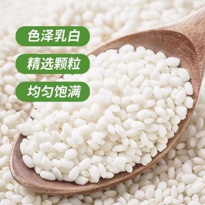 五常糯米2.5kg 圆糯米端午节新米江米包粽子专用酿酒商用 粘米批发图2