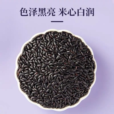 【华粮帝稻】五常黑米2.5kg 原产地五常 五谷杂粮 东北黑 香米新米图2